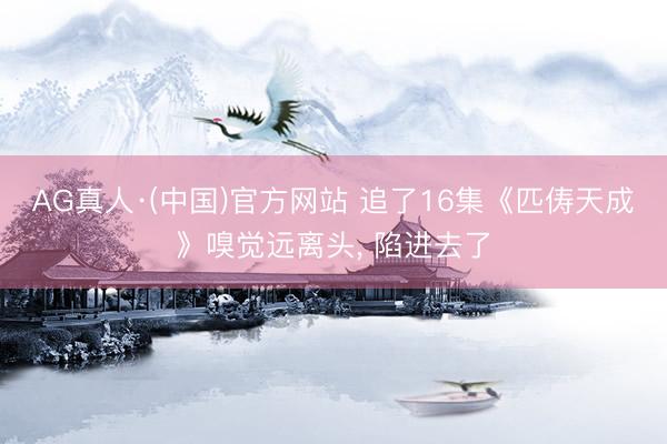 AG真人·(中国)官方网站 追了16集《匹俦天成》嗅觉远离头， 陷进去了