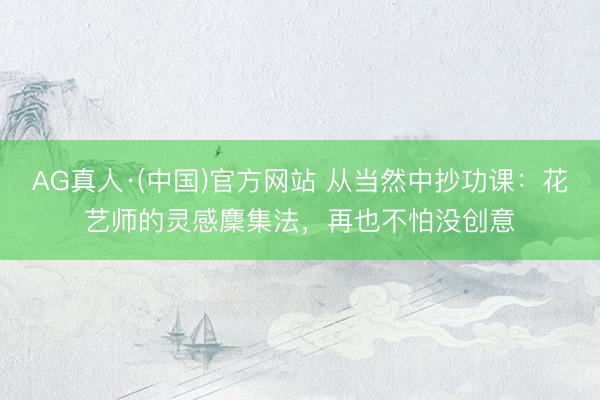 AG真人·(中国)官方网站 从当然中抄功课：花艺师的灵感麇集法，再也不怕没创意