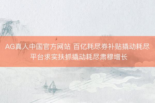 AG真人中国官方网站 百亿耗尽券补贴撬动耗尽 平台求实扶抓撬动耗尽肃穆增长