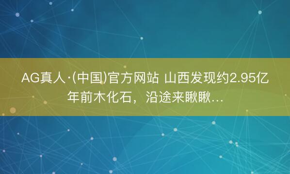 AG真人·(中国)官方网站 山西发现约2.95亿年前木化石，沿途来瞅瞅…