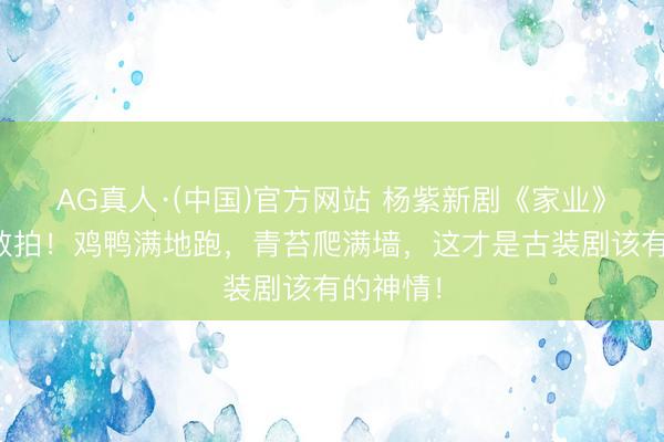 AG真人·(中国)官方网站 杨紫新剧《家业》实景太敢拍!鸡鸭满地跑,青苔爬满墙,这才是古装剧该有的神情!